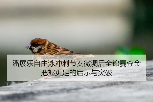 潘展乐自由泳冲刺节奏微调后全锦赛夺金把握更足的启示与突破